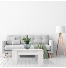 Mesa de Centro Elevable, Mesita de Salón, Acabado en Color Gris Polar, Medidas: 90 cm (An) x 50 cm (Fo) x 46-57 cm (Al)