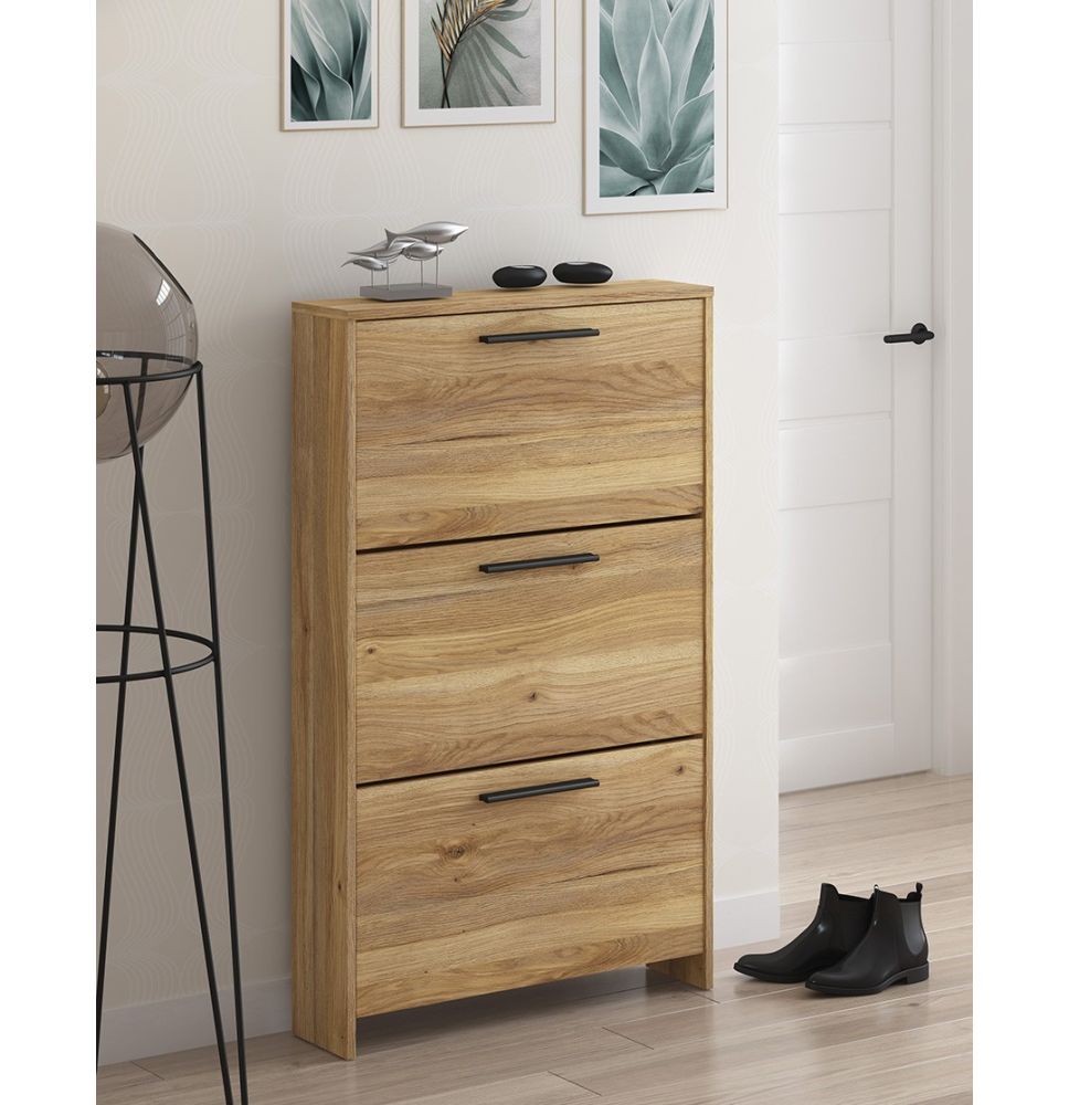 Zapatero con 3 Puertas, Mueble para Zapatos Estrecho en Color Mauvella, Medidas: 115 cm (Alto) x 68,5 cm (Ancho) x 17 cm (Fondo)